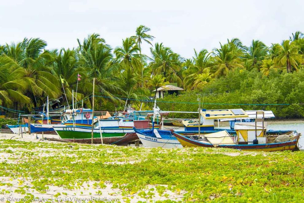 Imagem de várias barcos um ao lado do outro e ao fundo coqueiros lindos na Praia Corumbau.